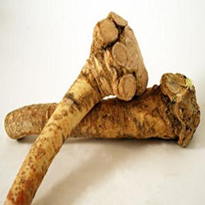 Horseradish Roots Natural, 5 Pound, (No International Orders) Ready for Planting