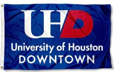 Houston Downtown Gators Flag 3x5ft