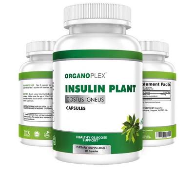 Insulin Plant Capsules (2 Month Supply)