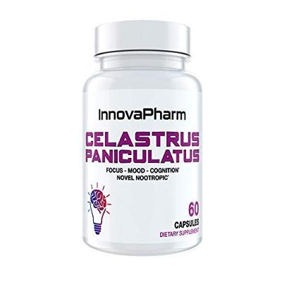 InnovaPharm CELASTRUS PANICULATUS - Novel Nootrpoic - 60 caps
