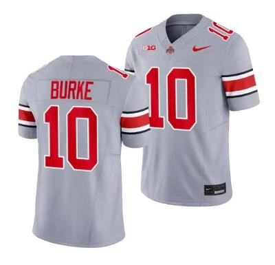 Men's Denzel Burke Jersey Ohio State Buckeyes #10 2023 Alternate Gray