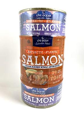 Antarctic Atlantic Salmon Raised without Antibiotics