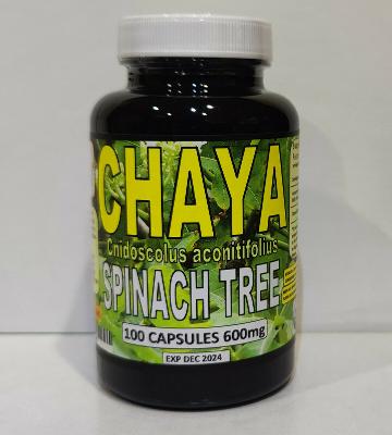 Chaya,Chaya 100 Caps, Mayan miracle plant, Chaya tree, organic spinach tree