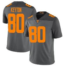Tennessee Volunteers Ramel Keyton Jersey #80 College Football ...