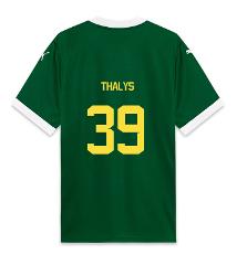 Palmeiras THALYS 39 Home 2025-26 Jersey  Green