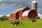 Supply Barn